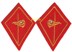 Immagine di Orts und Betriebswehr Kragenspiegel Schweizer Armee