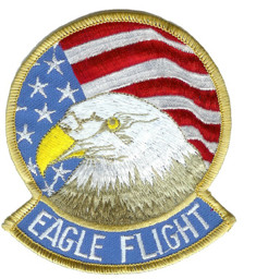 Bild von F15 Eagle Flight Aufnäher Abzeichen 