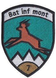 Immagine di Bat inf mont 7 gold Badge ohne Klett