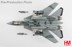 Bild von F-14B Tomcat 162919 VF-74 Adversary Tomcat, Be-Devilers. Metallmodell 1:72 Hobby Master HA5247. 