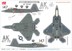 Bild von F-22A Raptor Spirit of Tuskegee Massstab 1:72, Hobby Master HA2824