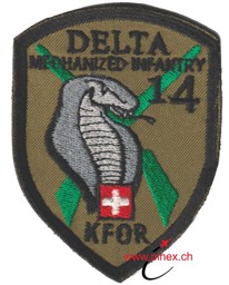 Bild von KFOR Delta Mechanized Infantry 14 mit Klett