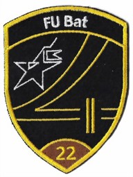 Bild von FU Bat 22 braun Armee Abzeichen ohne Klett