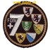 Picture of Felddivison 7 Badge gold