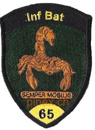 Bild von Inf Bat 65 Infanterie Bataillon 65 gelb Semper Mobilis ohne Klett