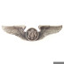 Picture of US Air Force Air Crew Wings Metall