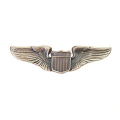 Bild von  US Air Force Pilot Wings Pilotenabzeichen Metall
