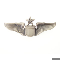 Bild von US Air Force Senior Pilot Wings Metall Uniformabzeichen