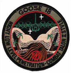 Bild von 1st Special Operations Squadron "Goose 18" Combat Talon Abzeichen