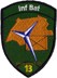 Bild von Inf Bat 13 Infanteriebataillon 13 grün ohne Klett