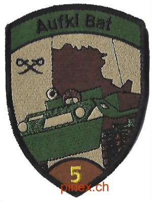 Immagine di Aufkl Bat 5 Aufklärerbataillon 5 baun Armee 21 Abzeichen mit Klett