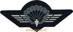Bild von Bundespolizei GSG9 Fallschirmspringer Abzeichen