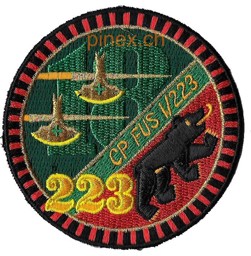 Immagine di Füs Bat 223 Cp Fus 1/223 Armee 95 Badge. Territorialdiv 1, Territorialregiment 18.