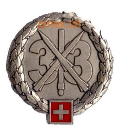 Bild von Lehrverband 33 Fliegerabwehrtruppen Beret Emblem