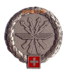 Bild von LVb FU 30 Béret Emblem Lehrverband Führungsunterstützung Luftwaffe