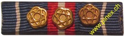 Bild von Auszeichnung für 950 Diensttage Gold Armee 21 Ribbon