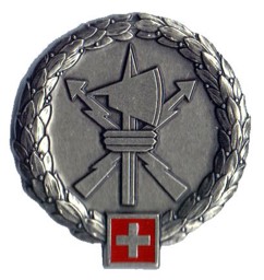 Bild von Führungsunterstützungsbrigade 41 Beret Emblem