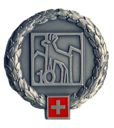 Bild von Gebirgsinfanterie Division 10 Béret Emblem 