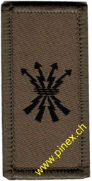 Bild von Übermittlung / Führungsunterstützungstruppen Truppengattungsabzeichen Armee 21 