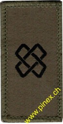 Bild von Logistiktruppen Truppengattungsabzeichen Armee 21 
