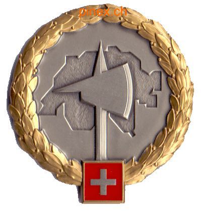 Picture of Armeetruppen in Gold Béretemblem mit scharfer Klinge