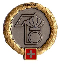 Bild von LVb Artillerie 1 GOLD Béret Emblem