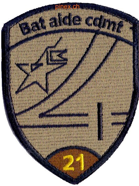 Bild von FU Bat 21 braun mit Klett Bat aide cdmt Armee Abzeichen