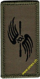 Bild von Fliegertruppen Truppengattungsabzeichen Armee 21