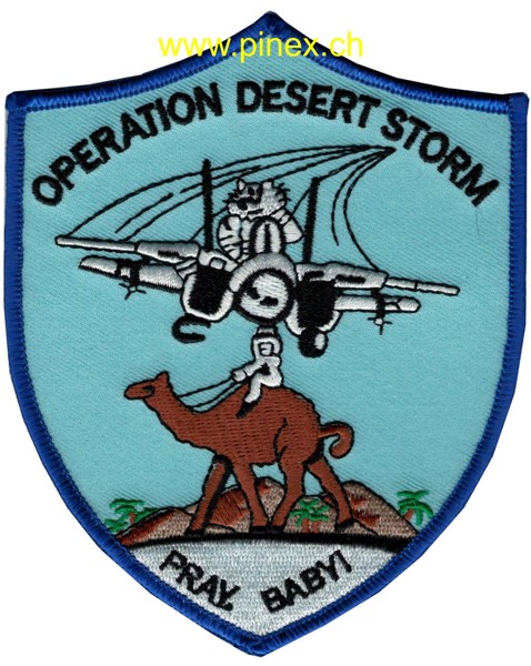 Picture of F-14 Tomcat Desert Storm "Pray, Baby!"
