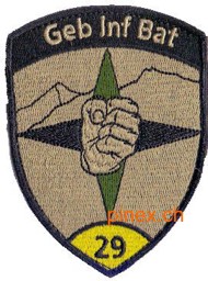 Bild von Gebirgsinfanterie Bat 29 gelb mit Klett 